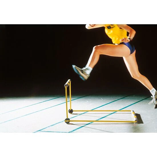 Sypro Hürde "Zacharias Classic" 5 Sypro Hürde "Zacharias Classic" - Image 3