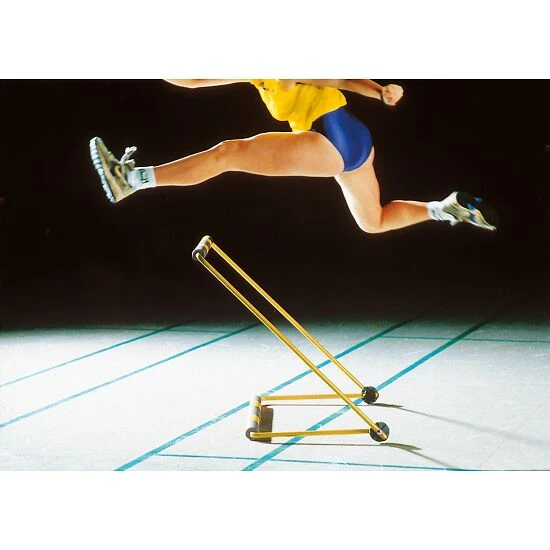 Sypro Hürde "Zacharias Classic" 6 Sypro Hürde "Zacharias Classic" - Image 4