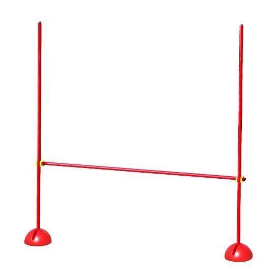 Sport-Thieme Trainingshilfe "Sport" 3 Sport-Thieme Trainingshilfe "Sport"