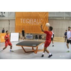 Teqball Spieltisch "Teq One" -JOOLA || VICTOR || Exit Verkaufsgeschäft 295 4309 6