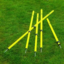 Power Shot Slalomstangen-Set "Teleskop"